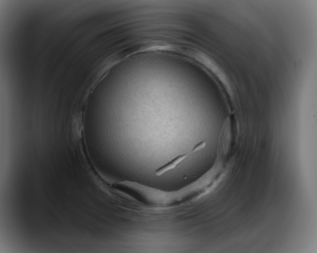 X0000088061377200705251334