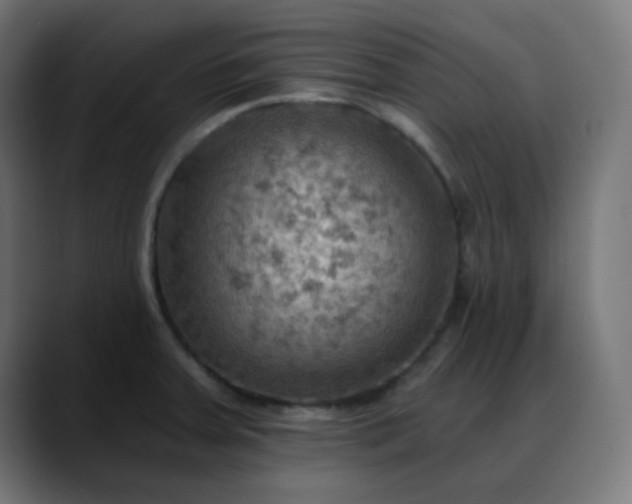 X0000088061379200705251334