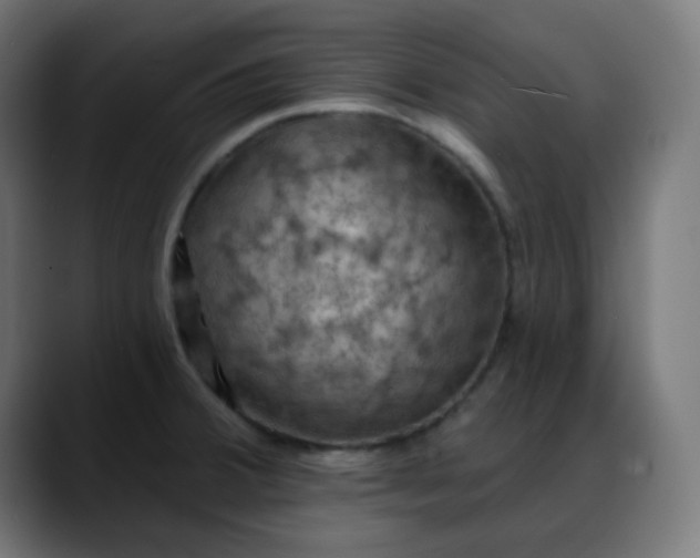 X0000088061380200705251334