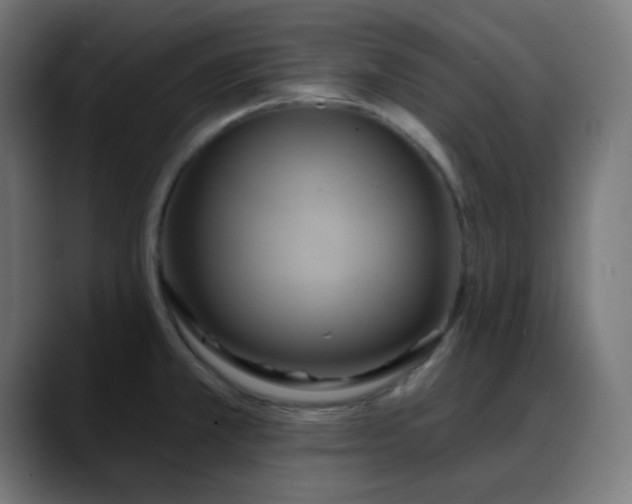 X0000088061381200705251334