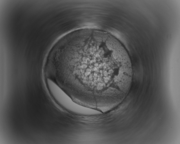 X0000088061383200705251334