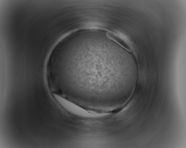 X0000088061384200705251334