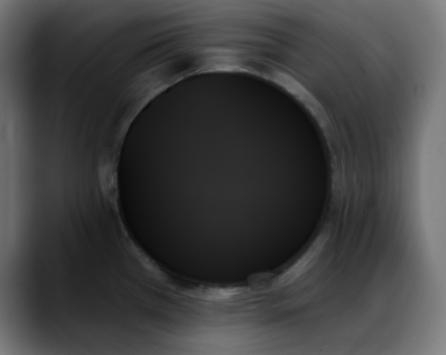 X0000088061385200705251334