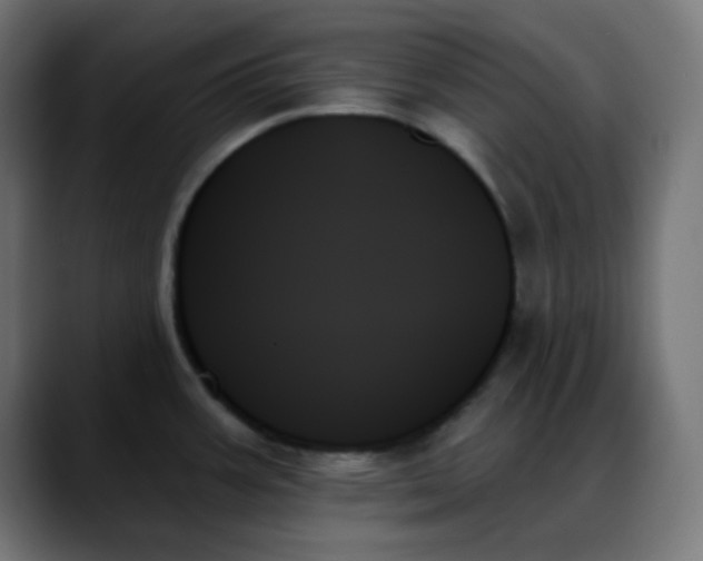 X0000088061387200705251334