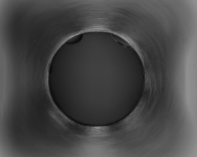 X0000088061390200705251334