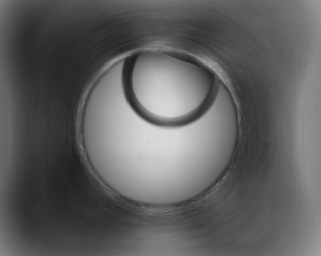 X0000088061392200705251333