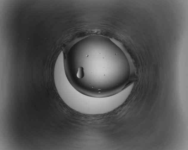 X0000088061394200705251333