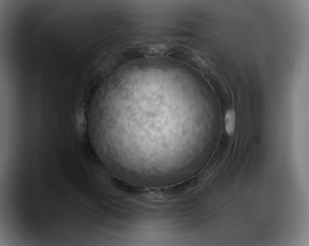 X0000088061395200705251333