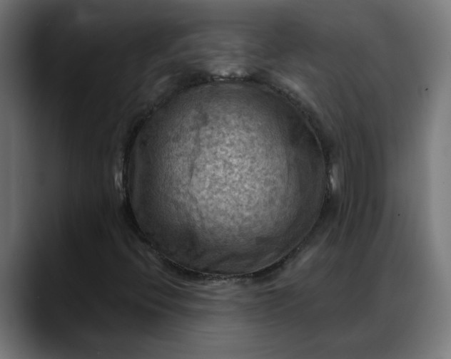 X0000088061396200705251333