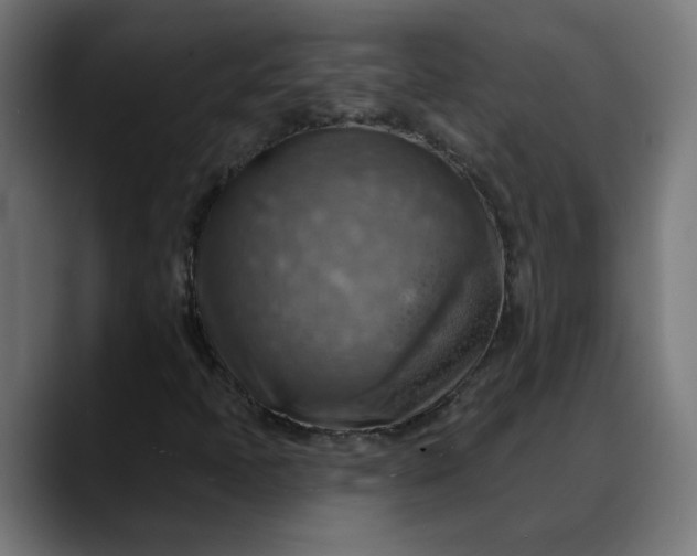X0000088061397200705251333