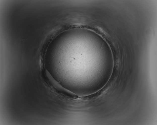 X0000088061398200705251333
