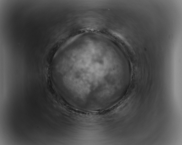X0000088061399200705251333