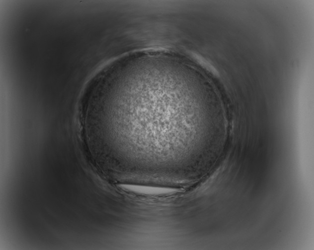 X0000088061400200705251333