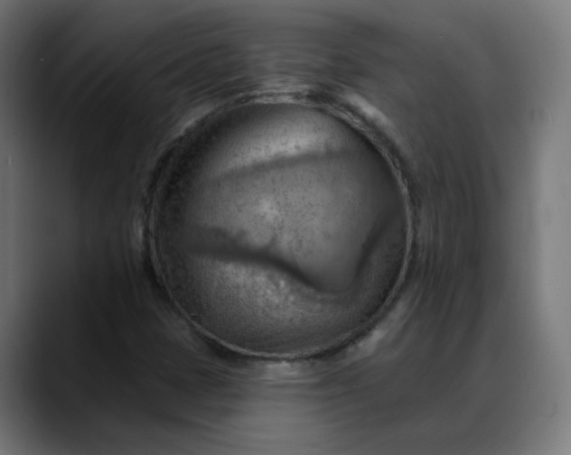 X0000088061401200705251333