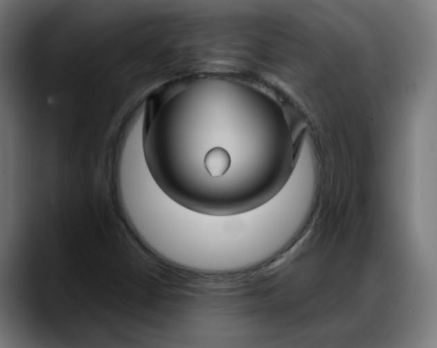 X0000088061402200705251333