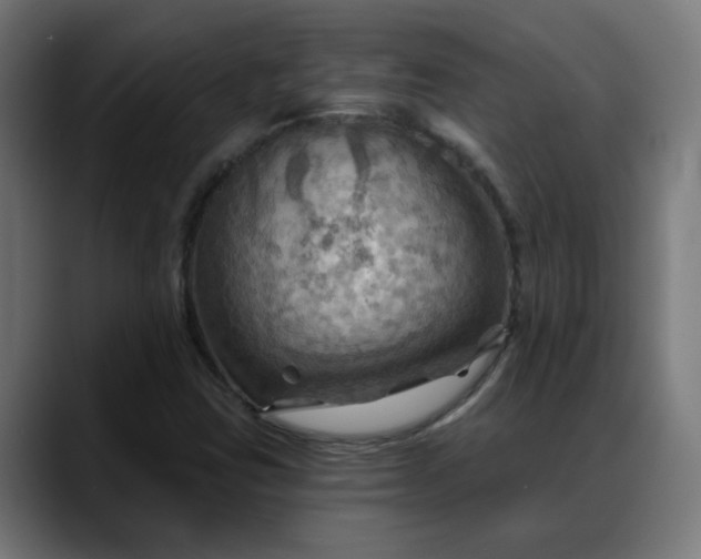 X0000088061403200705251333