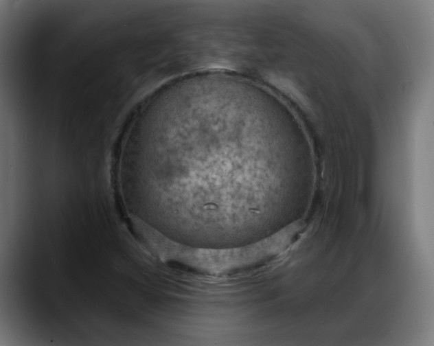 X0000088061404200705251333