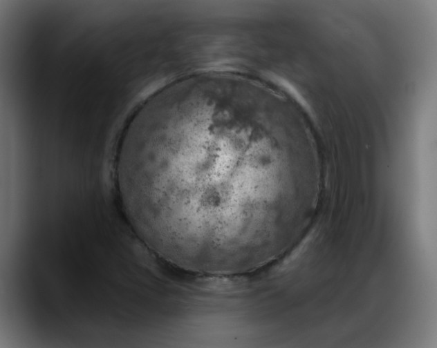X0000088061405200705251333