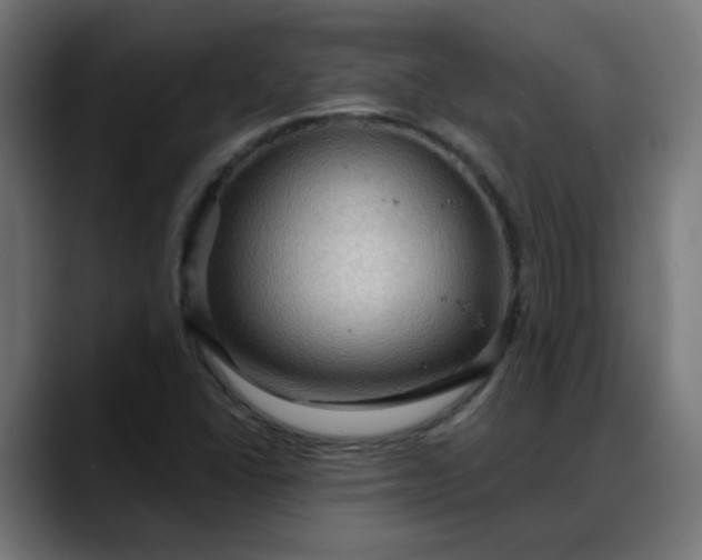 X0000088061406200705251333