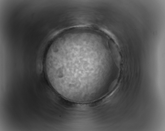 X0000088061407200705251333