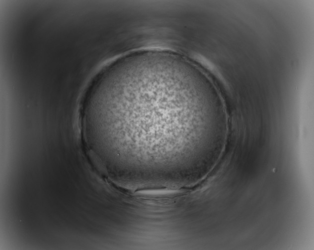 X0000088061408200705251333