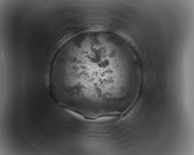 X0000088061409200705251333