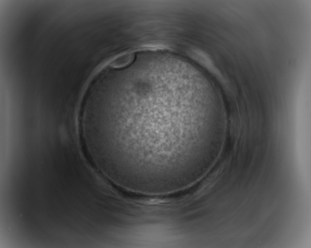 X0000088061412200705251333
