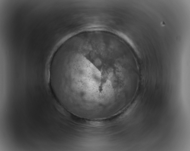 X0000088061413200705251333