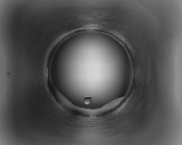 X0000088061414200705251333