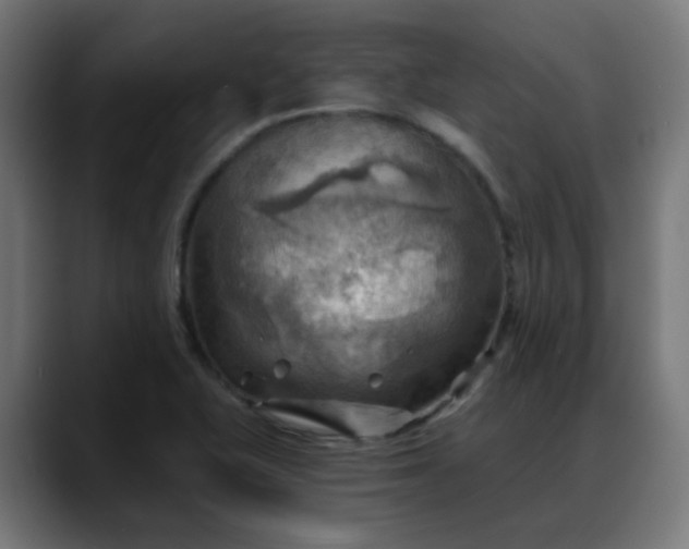 X0000088061415200705251333