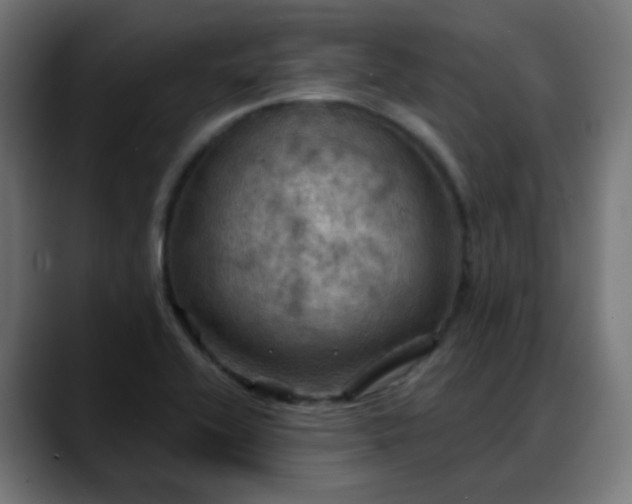 X0000088061416200705251333