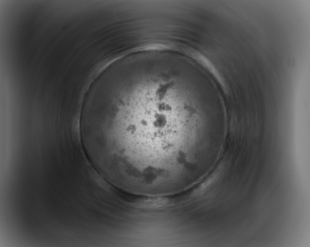 X0000088061417200705251333