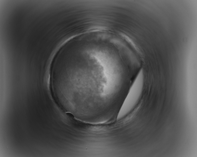 X0000088061418200705251333
