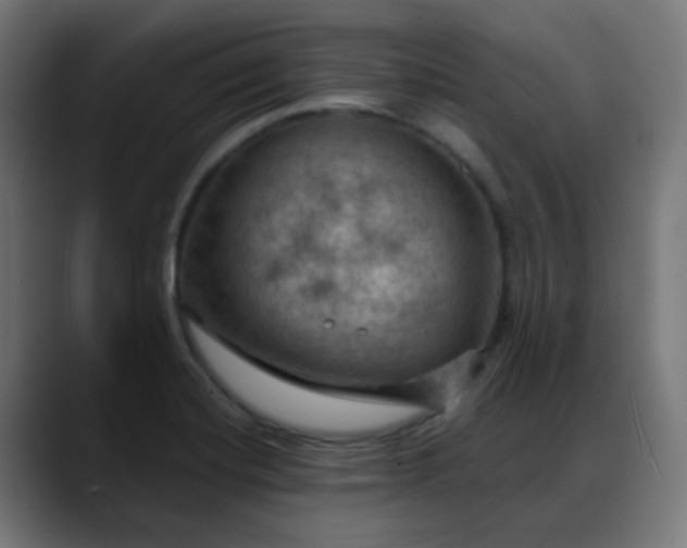 X0000088061420200705251333