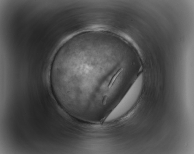 X0000088061421200705251333