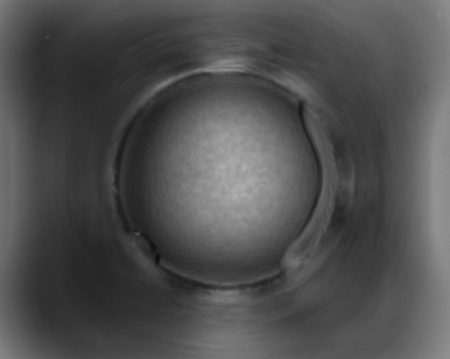 X0000088061422200705251333
