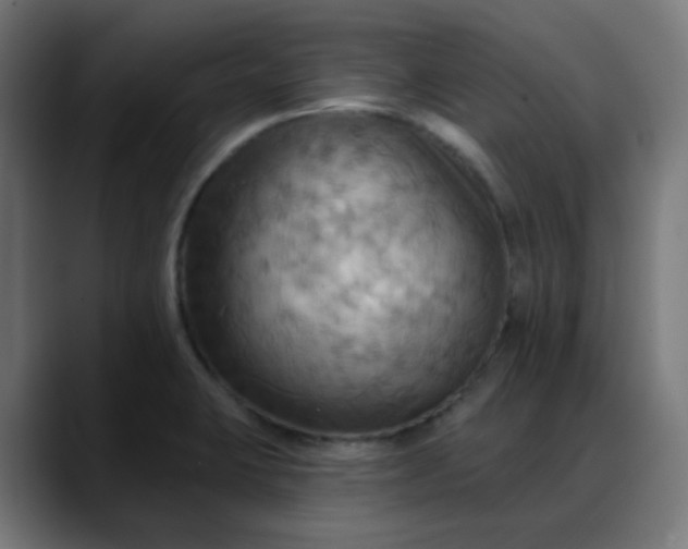 X0000088061423200705251333