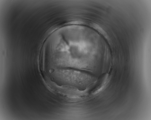 X0000088061425200705251333