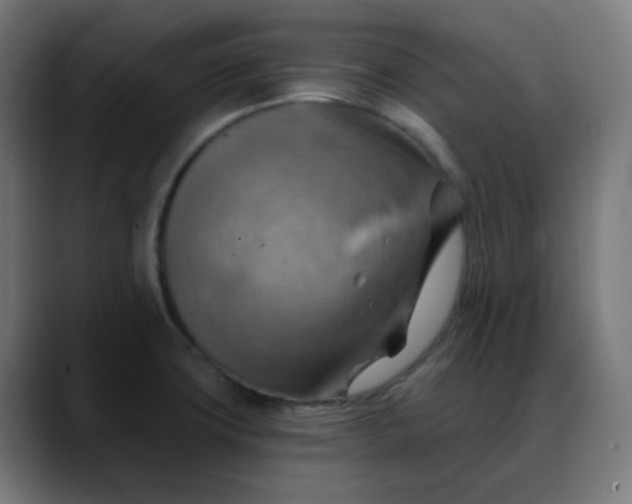 X0000088061427200705251333