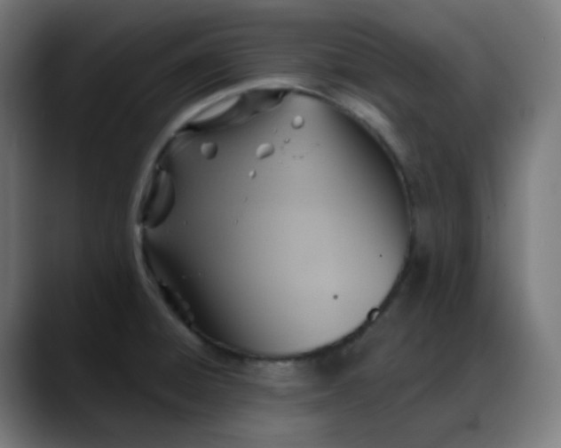 X0000088061428200705251333
