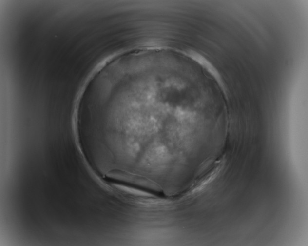 X0000088061429200705251333