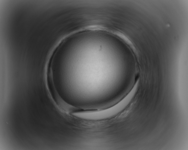 X0000088061430200705251333