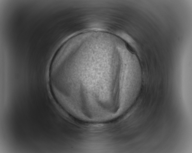 X0000088061431200705251333