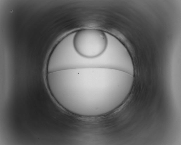 X0000088061432200705251333