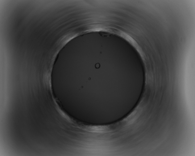 X0000088061433200705251333