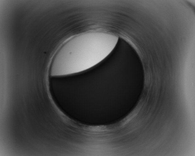 X0000088061434200705251333
