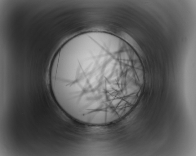 X0000088061436200705251333