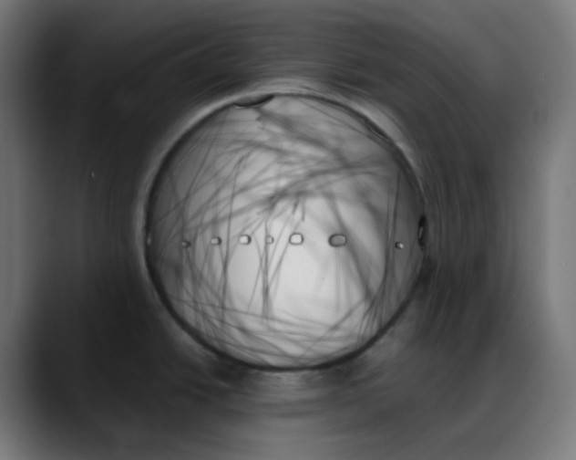 X0000088061438200705251333