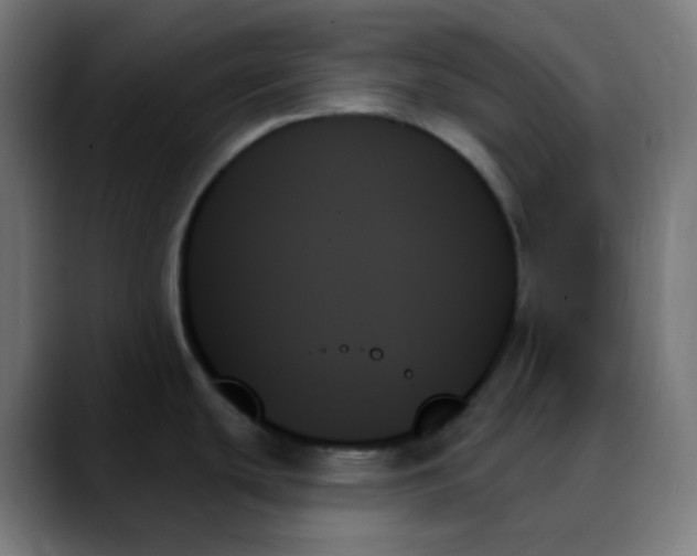 X0000088061439200705251333