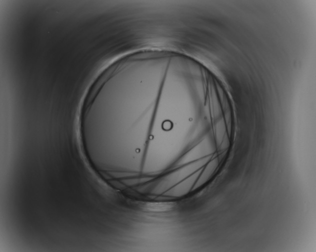 X0000088061440200705251333
